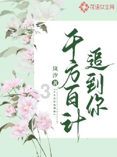 披萨找不同