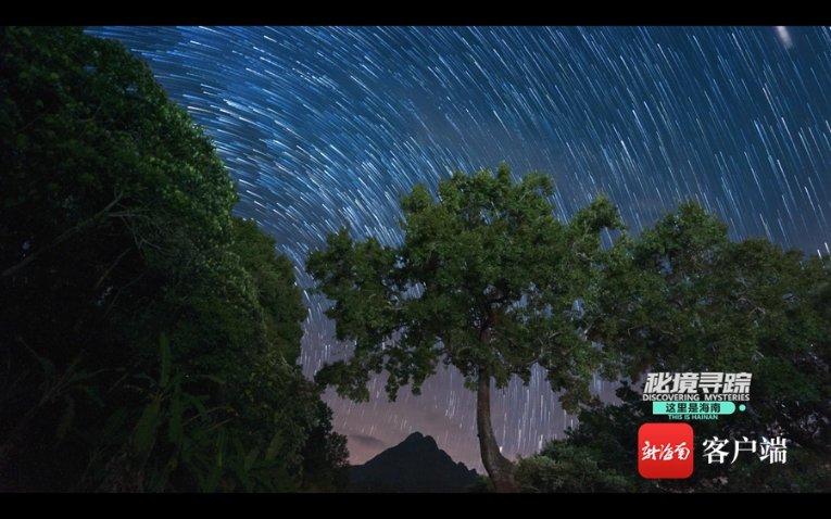救援中世纪女王