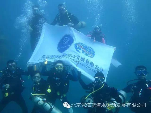 道奇蝰蛇找不同