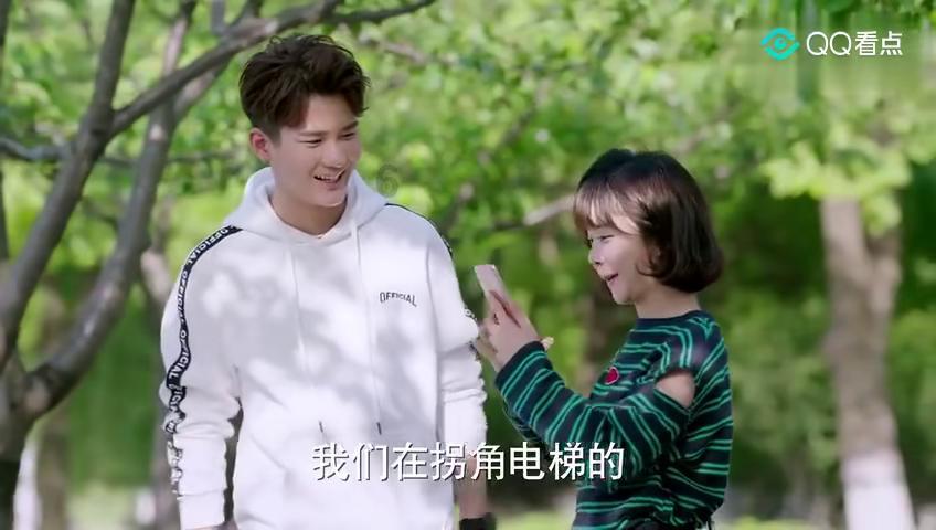 动物记忆大翻牌