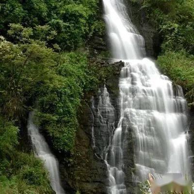 超级坦克消灭僵尸