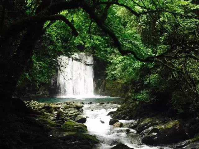 温拿五虎采访幕后花絮