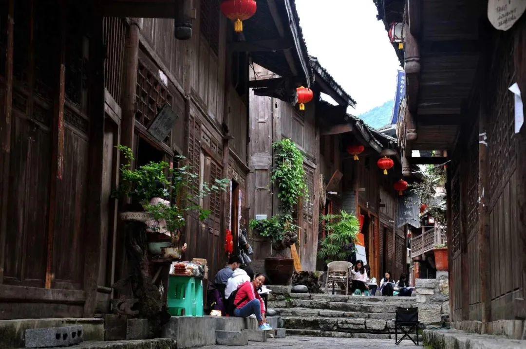 僵尸女友爱爬树