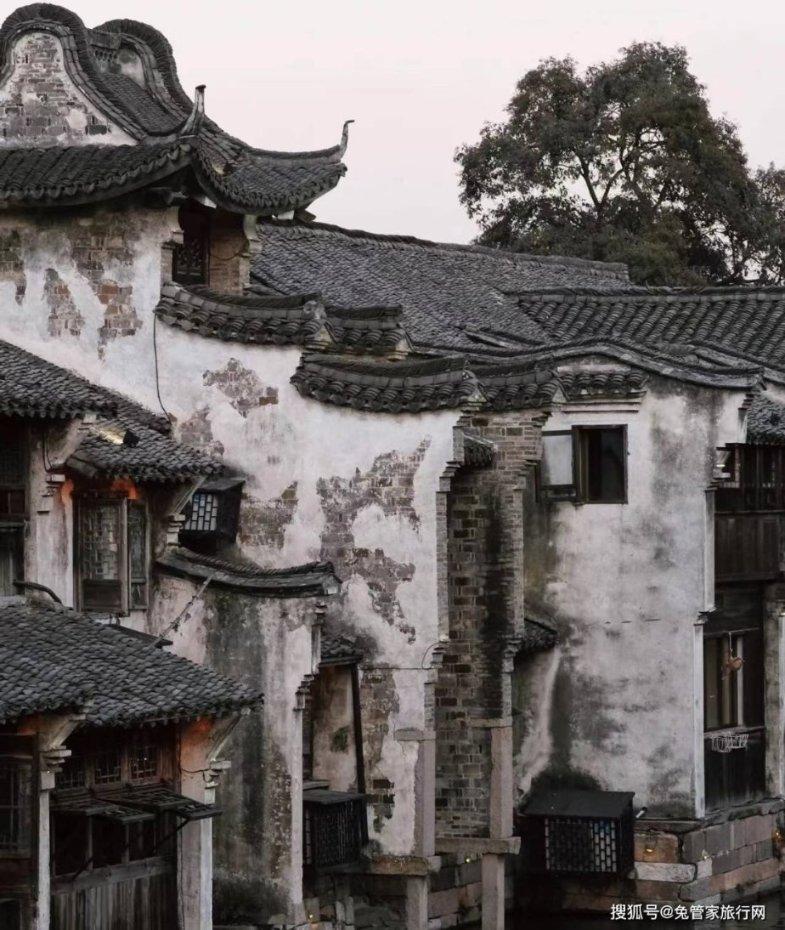 救援受困的火鸡